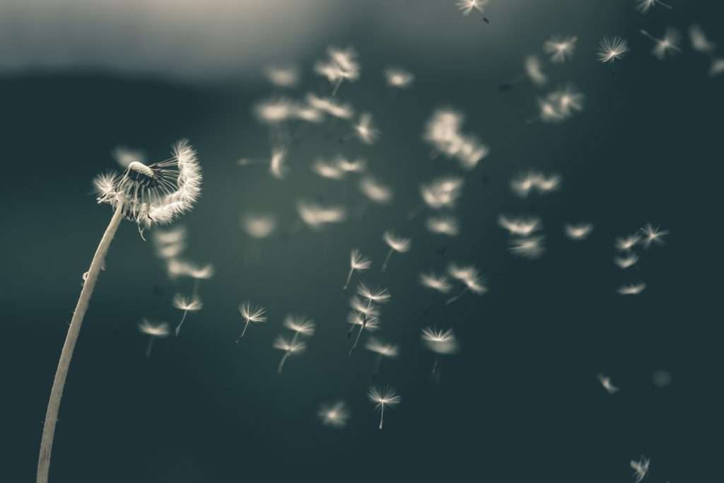 Allergies
